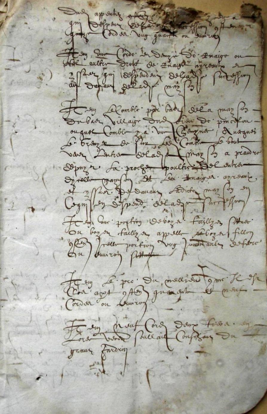 Cohon-G_1615 (3).JPG